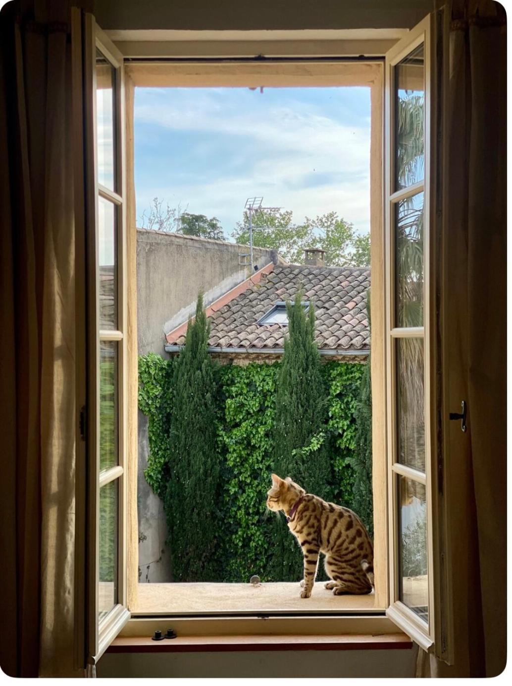 Appartamento Le Figuier Beauvoisin  Esterno foto